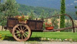 agriturismo fiori in campagna sul carretto