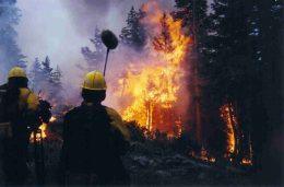 vigili del fuoco spengono un incendio