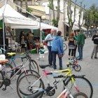 Giornata della bicicletta Avezzano (9)