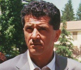 Roberto D'Amico