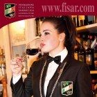 fisar 2