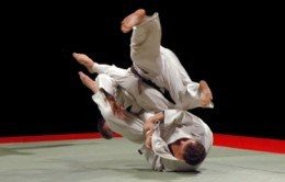 judo