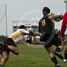 avezzano rugby (1)