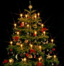 albero-di-Natale-