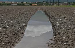 allagamenti nel Fucino (2)