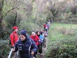 Foto trekking degli ulivi 005