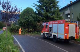 alberi caduti vento vigili del fuoco