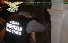 forestale operazione