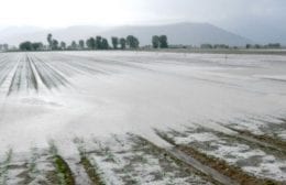 allagamenti Fucino grandinata  (2)