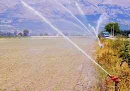 irrigazione nella piana del Fucino campi