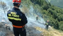 vigili fuoco incendio pineta