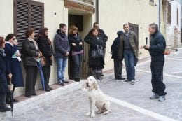 Di Pangrazio cane