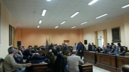 Assemblea sindaci