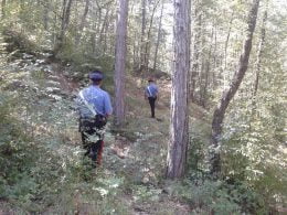 bosco carabinieri montagna