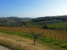 una-domenica-fuori-porta-2