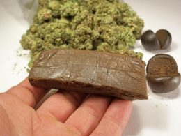 hashish-marijuana