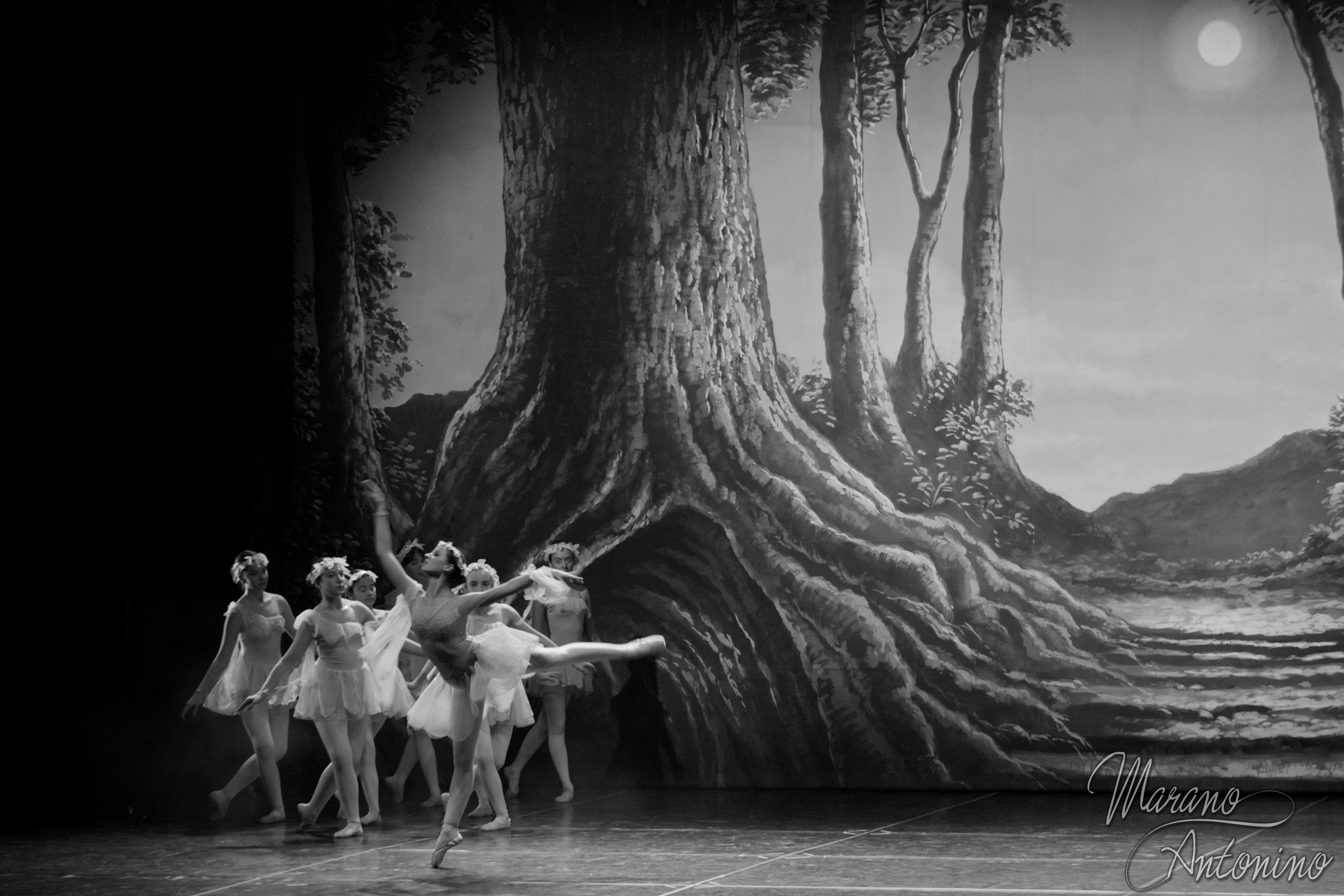 Saggio di danza classica Harmony – Teatro dei Marsi 25
