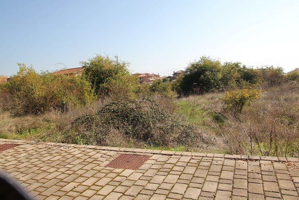 terreni demaniali a Scalzagallo in abbandono (5)