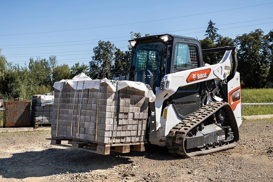 Bobcat